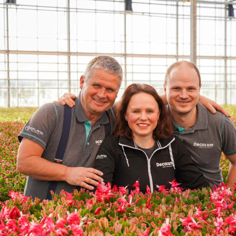 Generatie Hofland Flowering Plants Team